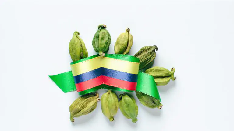 Featured image of post Cardamomo colombiano: sabor, calidad y oportunidad global
