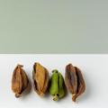 Cardamomo verde vs seco: diferencias, calidad y usos