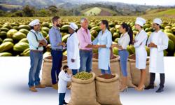 Featured image of post Cómo comercializar cardamomo en Colombia: canales y estrategias