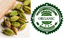 Featured image of post Cómo obtener certificación orgánica para cardamomo