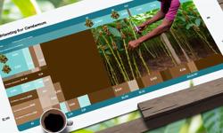 Featured image of post Cuánto cuesta sembrar cardamomo en el Eje Cafetero