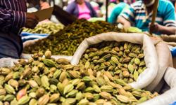 Featured image of post Dónde comprar cardamomo fresco en Bogotá