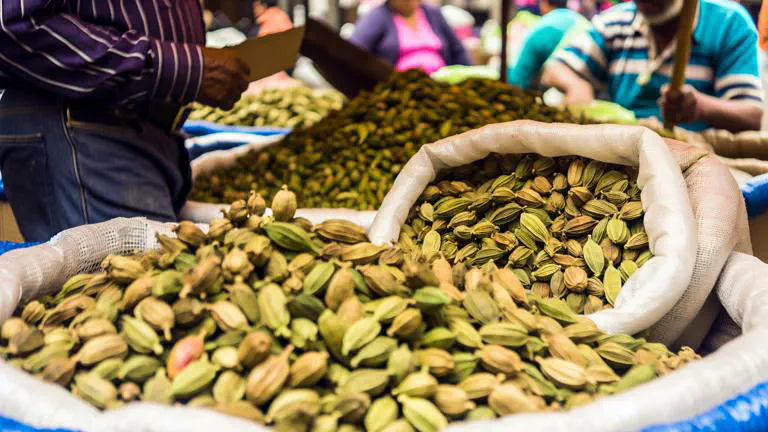 Featured image of post Dónde comprar cardamomo fresco en Bogotá