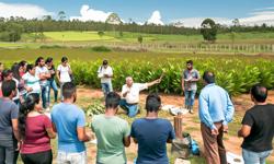 Featured image of post Formación en cultivo de cardamomo en Colombia