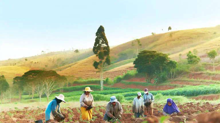 Featured image of post Historias reales de productores de cardamomo en Colombia