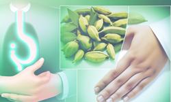 Featured image of post ¿Sirve el cardamomo para la gastritis? Evidencia y usos