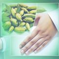 ¿Sirve el cardamomo para la gastritis? Evidencia y usos