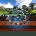 Técnicas de fertilización para cardamomo en clima cafetalero