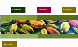 Featured image of post Tipos de cardamomo en Colombia: variedades y calidades
