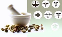 Featured image of post Usos medicinales del cardamomo según la ciencia