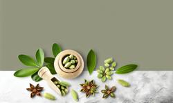 Featured image of post Usos medicinales del cardamomo: evidencia y tradición