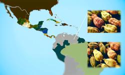 Featured image of post Variedades de cardamomo en el mundo y cuál se cultiva en Colombia