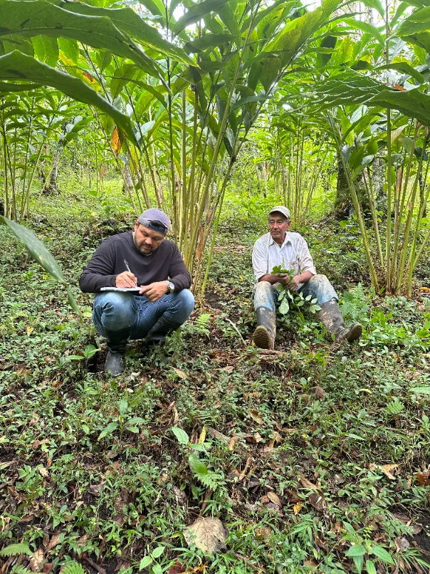 Asesorías virtuales personalizadas