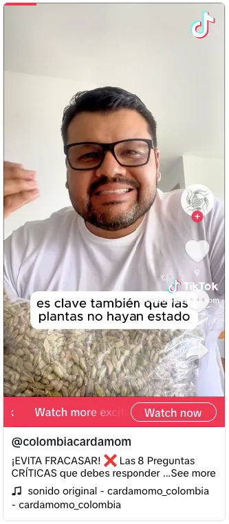 Cultivo de cardamomo bajo sombra natural